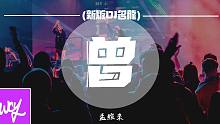 孟维来 - 曾 (新版DJ名龙)「我曾无法看破 那些往事不甘造作」【動態歌詞/pīn yīn gē 