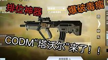CODM排位神器“塔沃尔”来了！！！