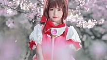 捕捉一只不会飞的小樱#百变小樱 #cos#樱花