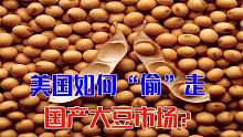 是谁窃取了中国大豆？曾经畅销全球，如今为何会突然败给美国？
