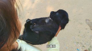 跟小黑熊說拜拜了，今天被這位小美女接走了