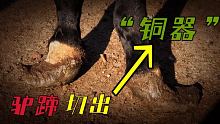 驴蹄切出“铜器”师傅高兴坏了，牛角状一刀切平真痛快，更解压！ #快手手艺人 #动物 #手艺人
