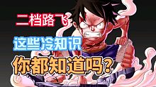 这些二档路飞的冷知识你都知道吗？？（热血航线）