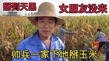 帅兵一家下地掰玉米，女朋友这次没来、一下掰到天黑装了满满一车