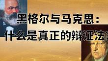 黑格尔＆马克思：什么是真正的辩证法？一种超越理论的思维模式？思维的加倍与辩证思维  【狗子字幕组】
