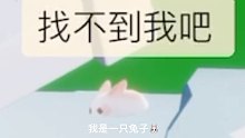 救命！兔子说话了！