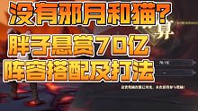 【斗罗大陆魂师对决】没有邪月和猫打不了悬赏？胖子悬赏70亿阵容搭配及打法！