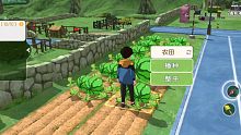 小森生活：收获田地里的西瓜