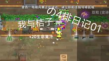 [小动物之星]我与桔子的4排日记01[击杀集锦]