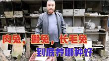 肉兔，獭兔，长毛兔，养哪一种兔子好养？哪一种能赚钱