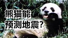 靠动物预报地震？40年前我们真是这么想的