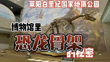 博物馆里恐龙骨架的秘密！
