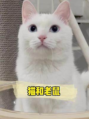 ：親你一口 看把你嚇得