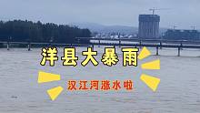 实拍陕西洋县大暴雨汉江河涨水，洪水已经淹到庄稼地，实在太吓人