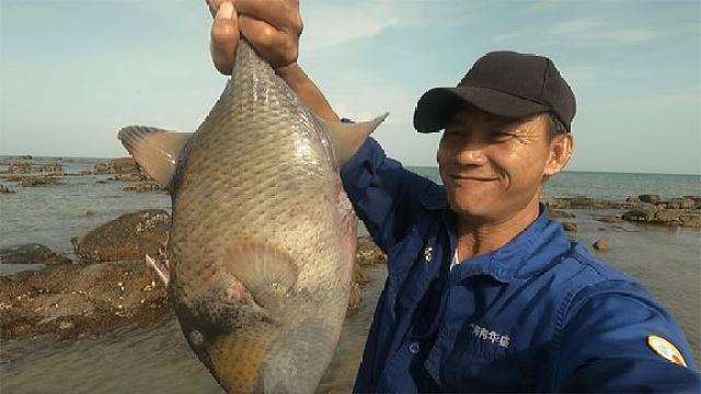 国庆赶海阿文运气爆棚,大龙虾大鱼全部搁浅岸边,长这么大太难得