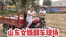 山东女婿帮岳父掰玉米，本想出风头好好表现，却上演大型翻车现场