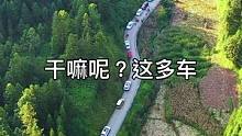 公路变成了停车场，无人机飞起来后终于看明白了！#最美的风景在路上 #最美乡村风景 #秀出家乡美