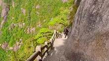 #总有人翻山越岭为你而来 黄山四千仞，三十二连峰。这条登山步道你走过吗？#黄山