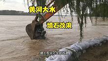 黄河大水依然紧急，挖土机赶紧填石头，滩区村庄做好撤离准备