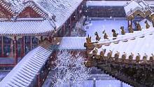 一年四季，大雪纷飞的故宫确实是最美的，那种庄严感，高贵感，任何季节都无法比拟。#2021北京第一场雪