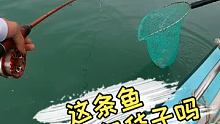 #筏钓 #海筏 #钓鱼