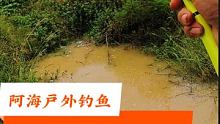 路边小坑有惊喜，如果您也喜欢钓鱼，喜欢野钓，请给海弟一个免费的双击，感谢支持 #钓鱼 #户外钓鱼 #