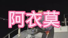 #阿衣莫  #钓鱼  #金枪鱼