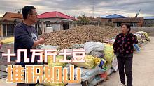 姨家十几万斤土豆堆满院，100斤土豆换三斤粉条，这就是东北粉坊