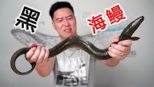 试吃不知名的大黑鳗，摸起来手感非常好，结果翻车了