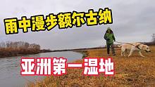 深秋的额尔古纳很美，狗狗太兴奋把我拖拽摔倒，身上湿了好冷