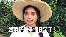 定了定了，赣南脐橙开园日已经定了！还剩20天准备时间