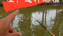 这鱼情过瘾#户外野钓  #钓鱼