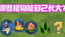 会自动“长大”的植物？他时间最久要70多秒！