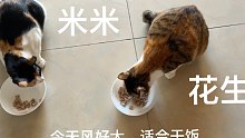 【干饭】给我看饿了