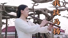 【洞箫】《看我跃马扬鞭》黑檀木F箫