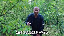 贵州小伙神演绎荒野求生