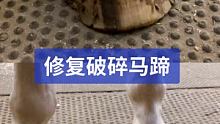 修复破碎马蹄 #小海豹钉蹄 #修蹄钉掌 #解压