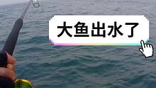 #路亚海钓 #海钓 #路亚钓鱼