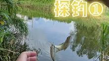 #野钓鲫鱼 #野钓鱼获 #休闲野钓