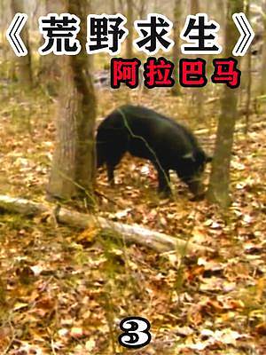 贝爷在树林里荒野求生，碰到了一只猪 #贝爷 #荒野求生 #单挑荒野 