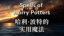 哈利波特标准咒语教程·实用魔法