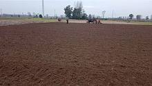 河南省睢县十月12号秋季开始打地了