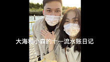 大海和小森的十一流水账日记