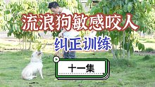 胖子咬人纠正第十一集