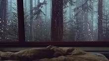 多少人喜欢雷雨天睡觉的，雨声越大，睡得越香，睡前听一会，睡个好觉 #助眠 #失眠#治愈