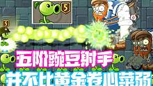 植物大战僵尸：五阶豌豆射手非常值得升五阶！不比卷心菜弱！
