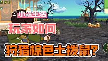 小森生活：玩家如何狩猎棕色土拨鼠？