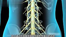 3D动画演示脊髓麻醉和硬膜外麻醉注射全过程