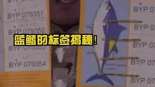 蓝鳍标签揭秘！#dou是钓鱼人 