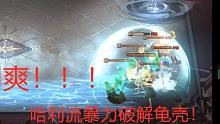 看到爽！哈利流暴毙爆破龟壳流！！！！！